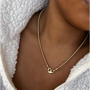 Pandora Moments Studded Chain